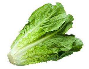 Lechuga